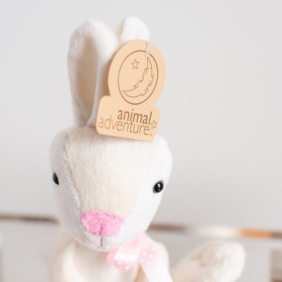 Easter Gift Basket Baby Animal Adventure Rabbit Soft Book Baby Animals Eggs - Picture 3 of 10